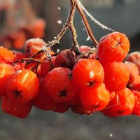 Утром туман :: Валентина Богатко 