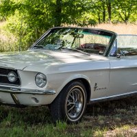Ford Mustang 1967 :: Олег Зак