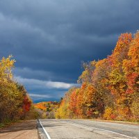дорога в осень :: ЕВГЕНИЯ БОРИСЕНКО