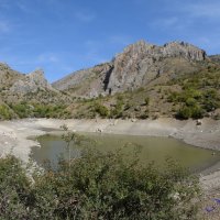 Природа Крыма :: Amazing Cosmea