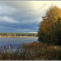 *** :: Aleksandr Gal