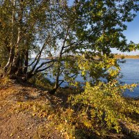 На берегу Волги :: Александр Синдерёв