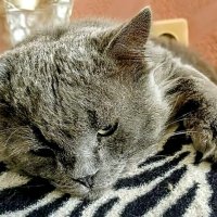 Филёк. :: Михаил Столяров