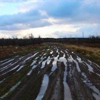 Эх, дороги :: Сергей Никифоров