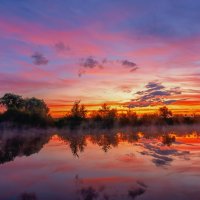 ** :: Виталий Емельянов