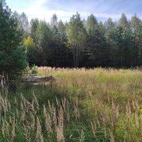 Здесь было паханное поле... :: Игорь Ч.