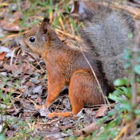 * :: Александр Зуев