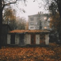 Осенние моменты на мыльницу Olympus :: Sergei Vikulov