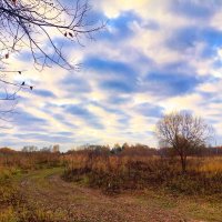 за городом :: Артём 