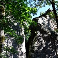 Железноводск. Селитряные скалы 3 :: Павленко Михаил 