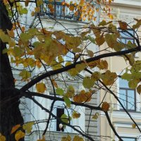 вечер одной старушки :: sv.kaschuk 