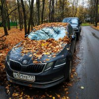 Приметы октября :: Андрей Лукьянов