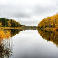 Золотая осень на озере (репортаж из поездок по области). :: Милешкин Владимир Алексеевич Золотая осень на озере (репортаж из поездок по области). :: Милешкин Владимир Алексеевич
