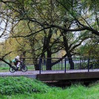 На велике быстрее! :: Василий Палий