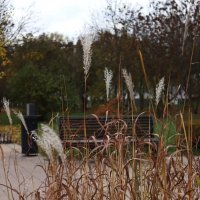 Последние дни октября. :: Василий Палий