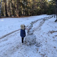 Снеговик в октябре :: Андрей Хлопонин Снеговик в октябре :: Андрей Хлопонин