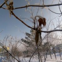 Осень :: Георгиевич 