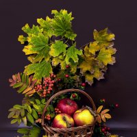 ... :: Светлана Ищенко