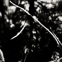 Фотография :: Денис Безногов