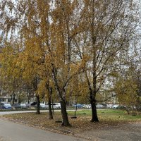 В городе - Осень... :: Olga Oskolkova
