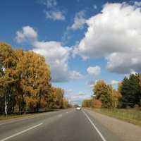 дорога в осенний день :: Ольга Гомзина дорога в осенний день :: Ольга Гомзина