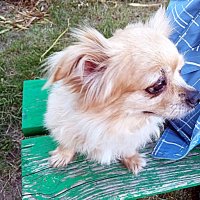 В ожидании... :: Владимир Драгунский