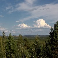 Сусанинские места.Костромская область.Триптих. Часть 3 :: MILAV V