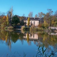 Осень  золотая :: Валентин Семчишин