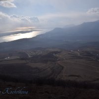 Природа Крыма :: Amazing Cosmea