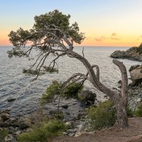 Крым :: skijumper Иванов