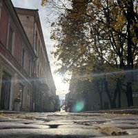 Выборг :: Николай Выборг :: Николай