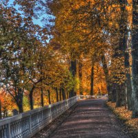 *** :: Сергей Григорьев