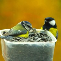 "Нет ! Всё себе возьму !" :: Юрий Куликов