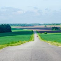 Родные просторы :: Галина Ложечникова