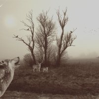 ... :: Свечение Язычество