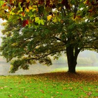 Осенние картинки :: Юрий. Шмаков