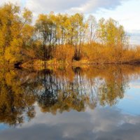 Очарованье русского пейзажа :: Galina Solovova Очарованье русского пейзажа :: Galina Solovova