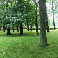 Михайловский сад в Санкт - Петербурге :: Любовь ***