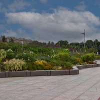 на Московской площади :: navalon M