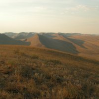 Пейзаж, навевающий грусть... :: Наталья Лунева 