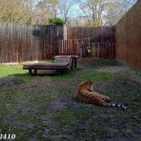 В ростовском зоопарке :: Нина Бутко В ростовском зоопарке :: Нина Бутко