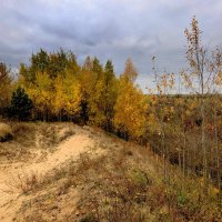 сюжеты октября 10 :: Александр Прокудин сюжеты октября 10 :: Александр Прокудин