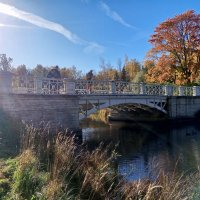 Осень :: Сапсан 