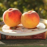 *** :: Роланд Дубровский