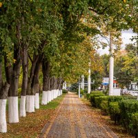 Середина осени :: Игорь Сикорский
