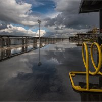 После дождя :: **** vedin После дождя :: **** vedin