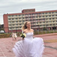 Бегом! Бегом за Счастьем! :: Александр Гриднев