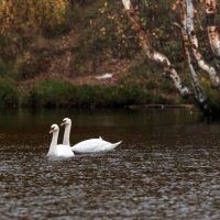 *** :: Владимир Безбородов *** :: Владимир Безбородов