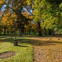 *** :: Геннадий Порохов