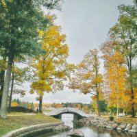 Осенний мотив :: Любовь Гайшина